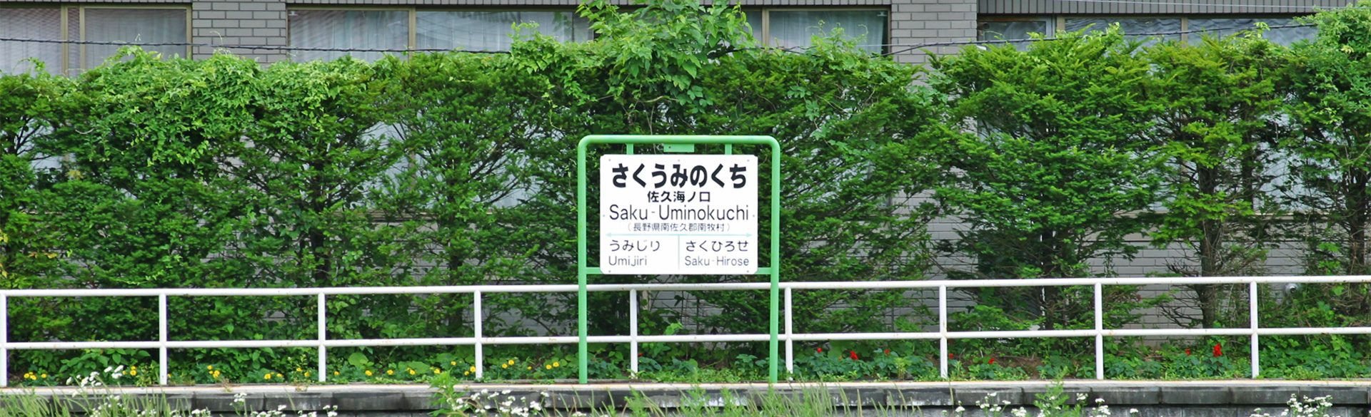 アクセス・周辺観光